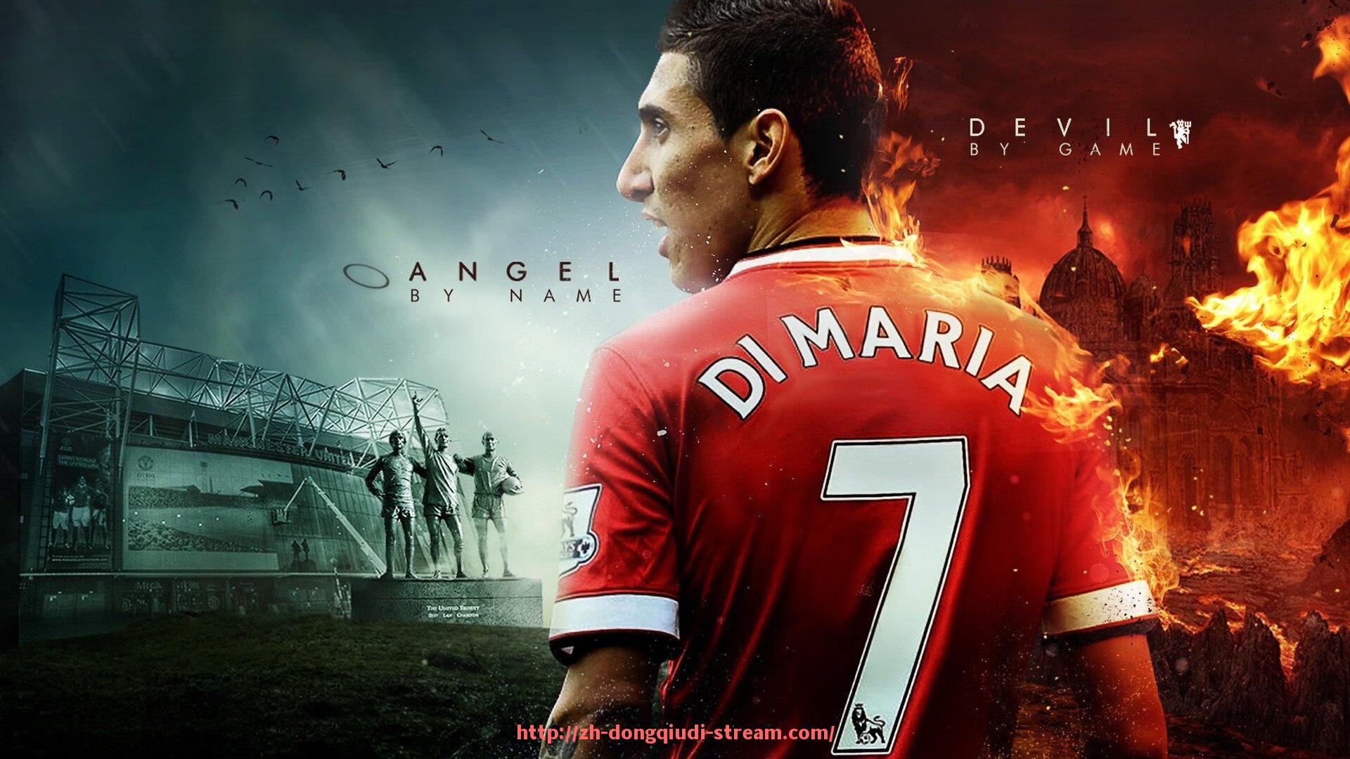 懂球帝直播-健身器材综合拉力训练方法及效果解析